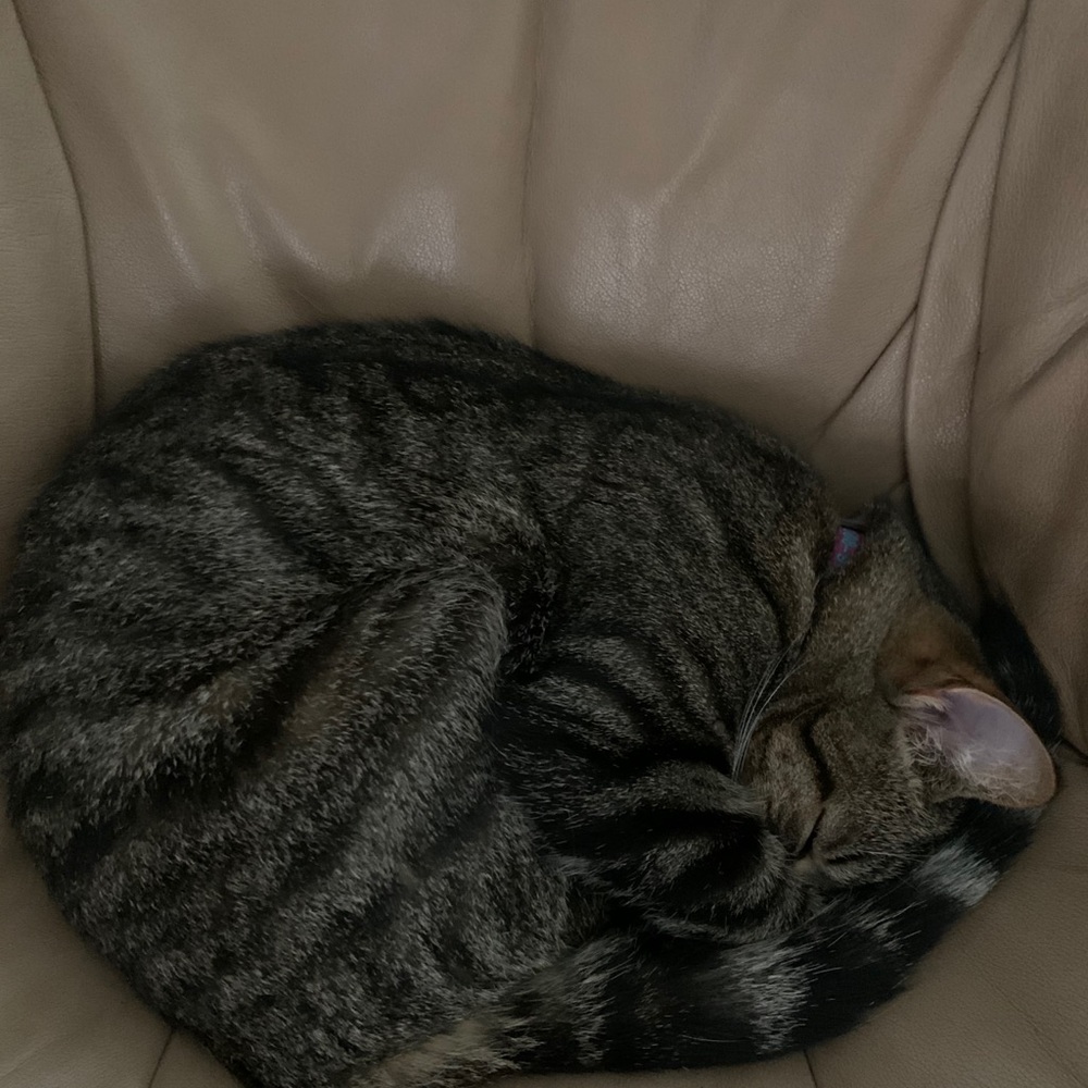 Meet your Posher, Mary